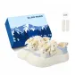 Yellow Blue-Exclusive Shoe Box-Includes Socks