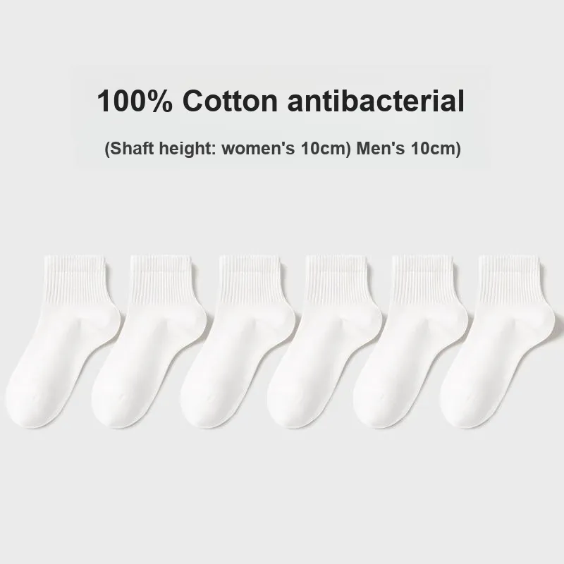 B&C.Room Mid Calf Socks Women's 6 Pack-1