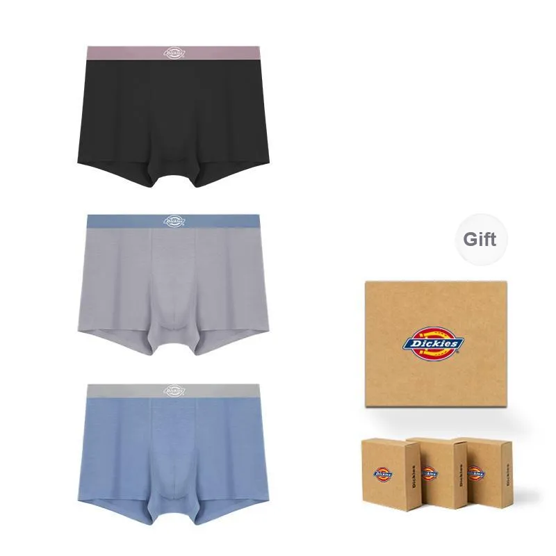 Dickies Underpants Men's Box 3 Pack-50