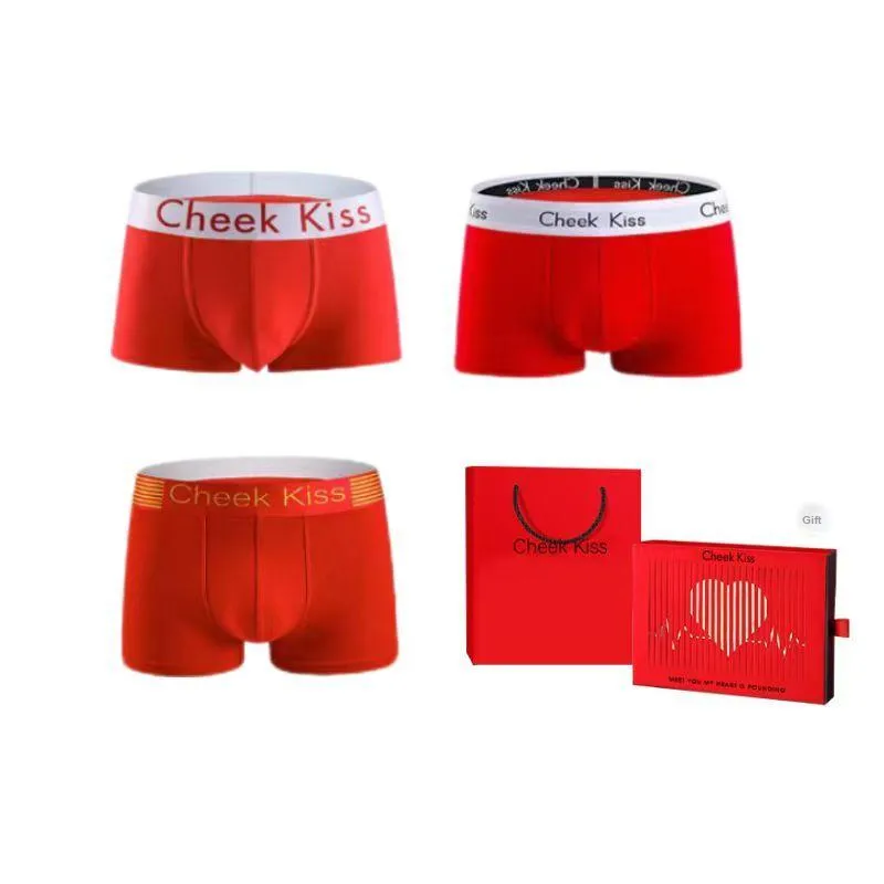 Cheekkiss Underpants Men's 3 Pack-11