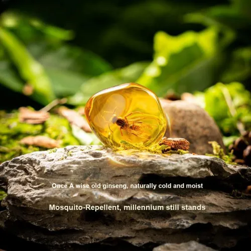 PINUOKAOGU! Explore Nature Смола Насекомые Слепые коробки Одиночная Слепая коробка Полная коробка 12 шт