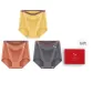 Ginger Yellow-Brick Red-Dark Gray