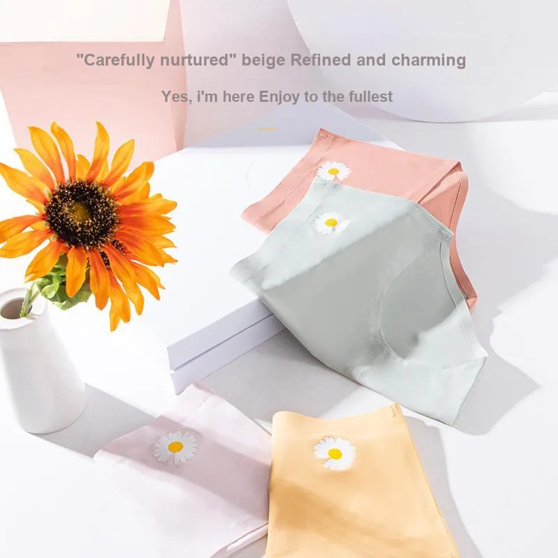 Ordifen Underpants Women's 3 Pack-14