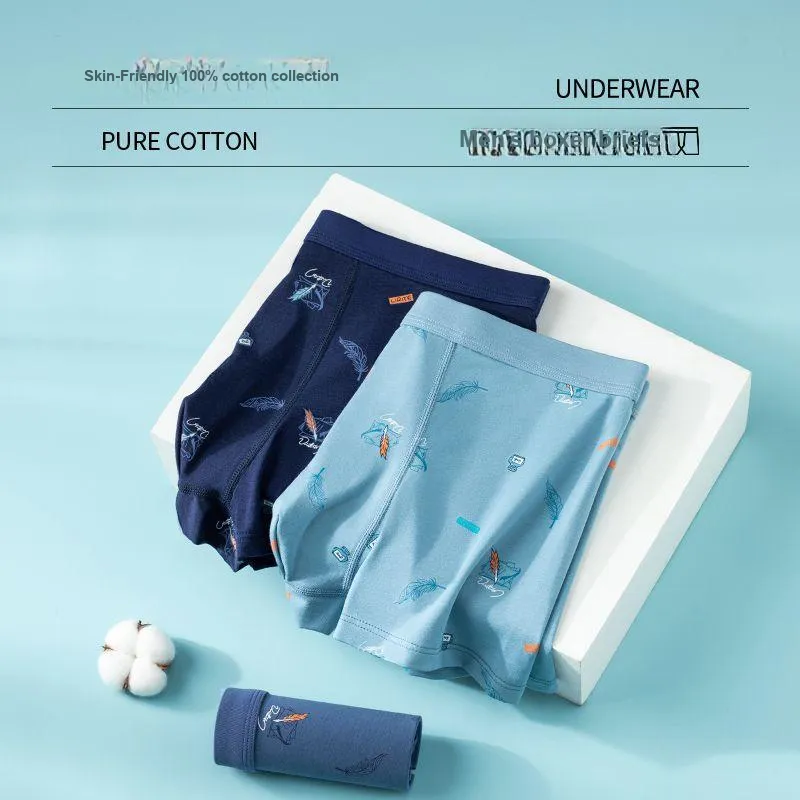 XISHE Underpants Men's Combo Set-3