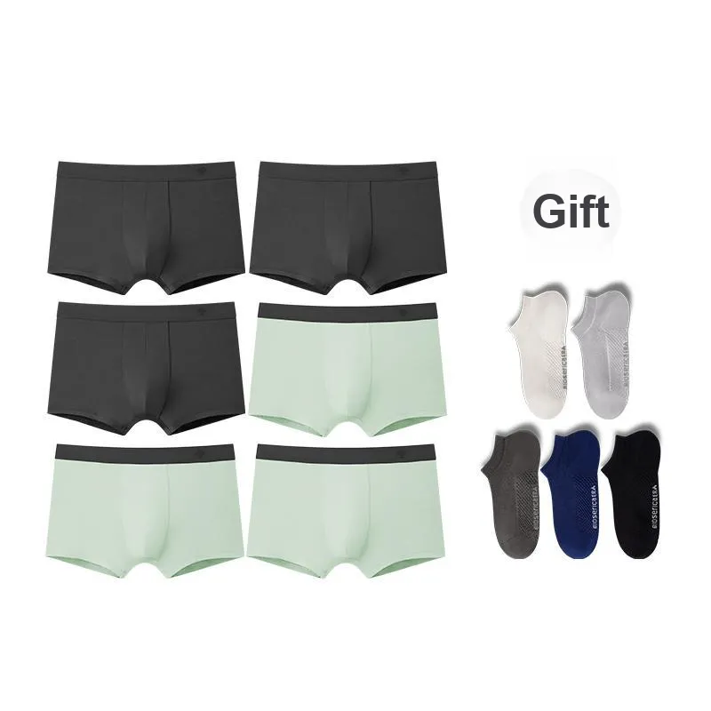BIOSERICA ERA Cotton Underpants Men's 6 Pack-25
