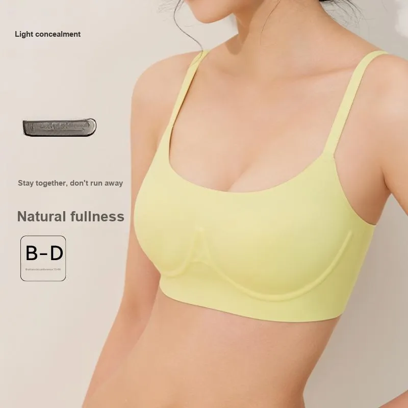 Concealed Women's Bras-2