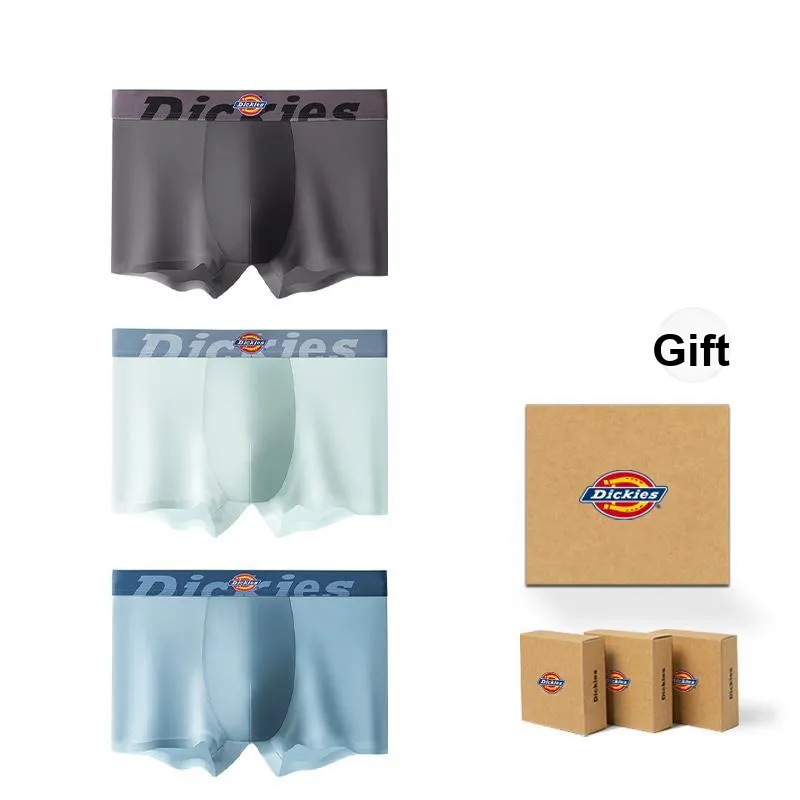 Dickies Underpants Men's Box 3 Pack-6