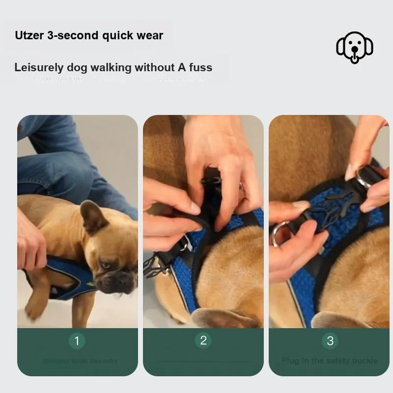 Hunter Leashes-4