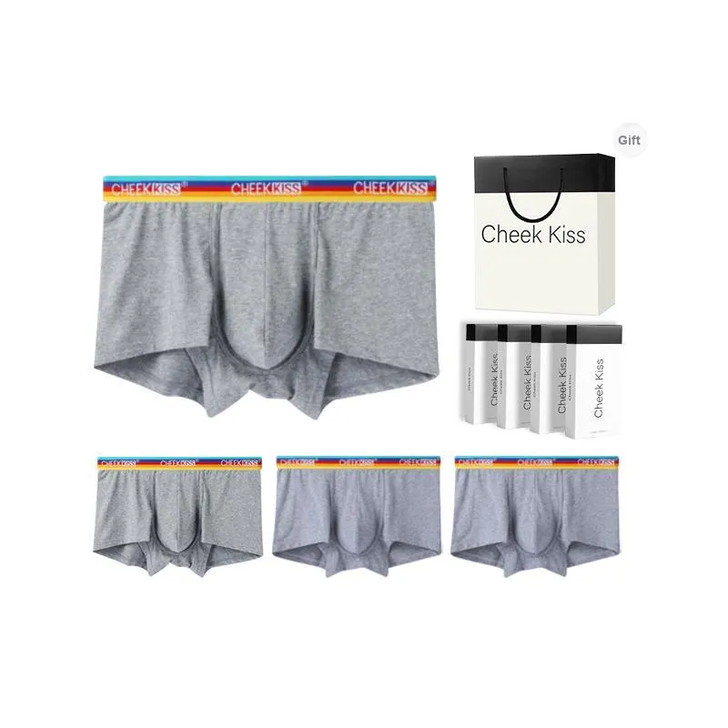 Cheekkiss Underpants Men's 4 Pack-6