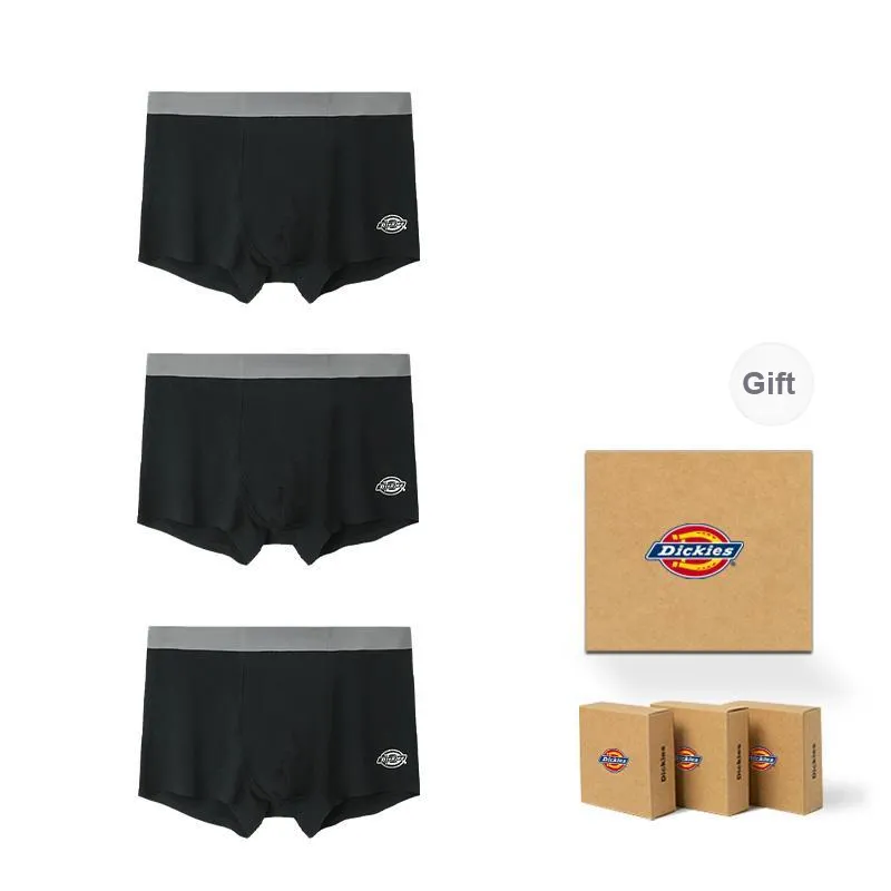 Dickies Underpants Men's Modal Cotton Premium Flat Box Combo Set-0