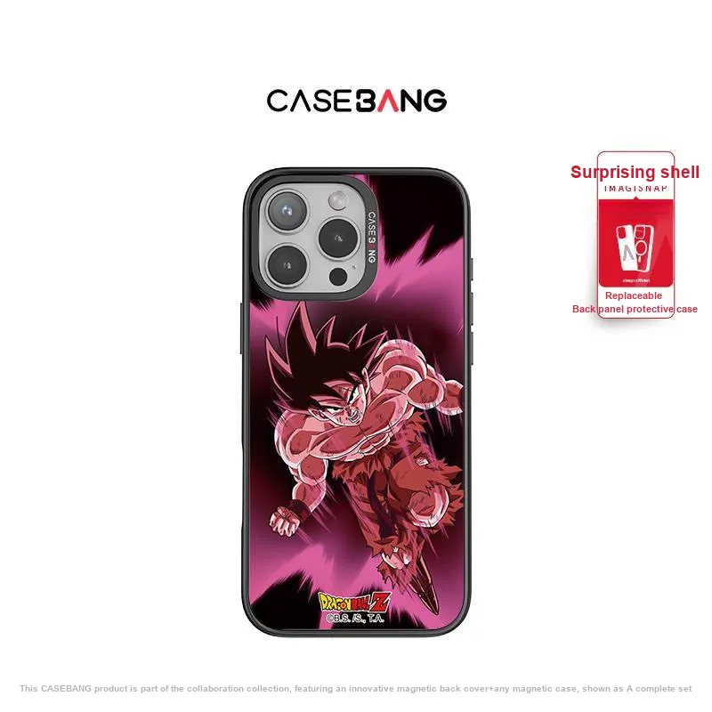 CASEBANG Phone Cases-19