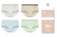 4 Pack = Moon White+Cloud Apricot+Cloud Blue+Wind Green