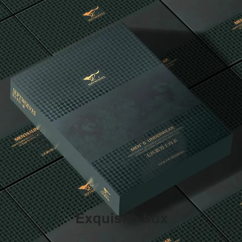SEPTWOLVES Thermal Set Men's Box 2 Set-23