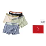 (4 Pack) Yellow Green, Light Apricot, Medium Gray, Black