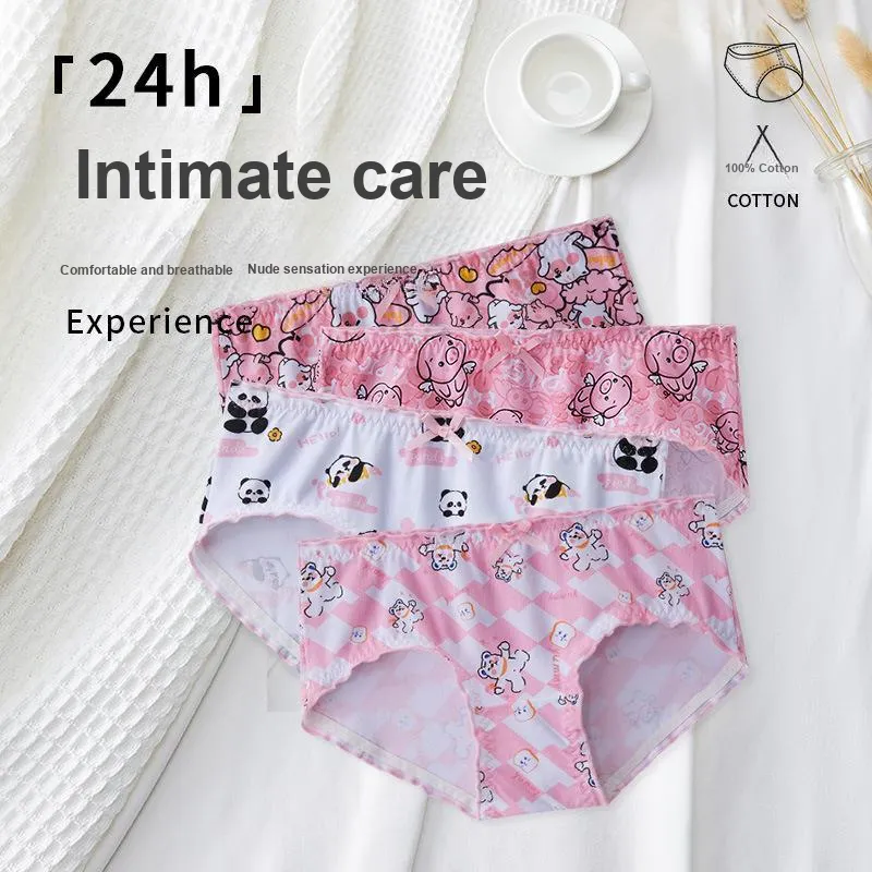 ROBINHOOD Underpants Women's 3 Pack-1