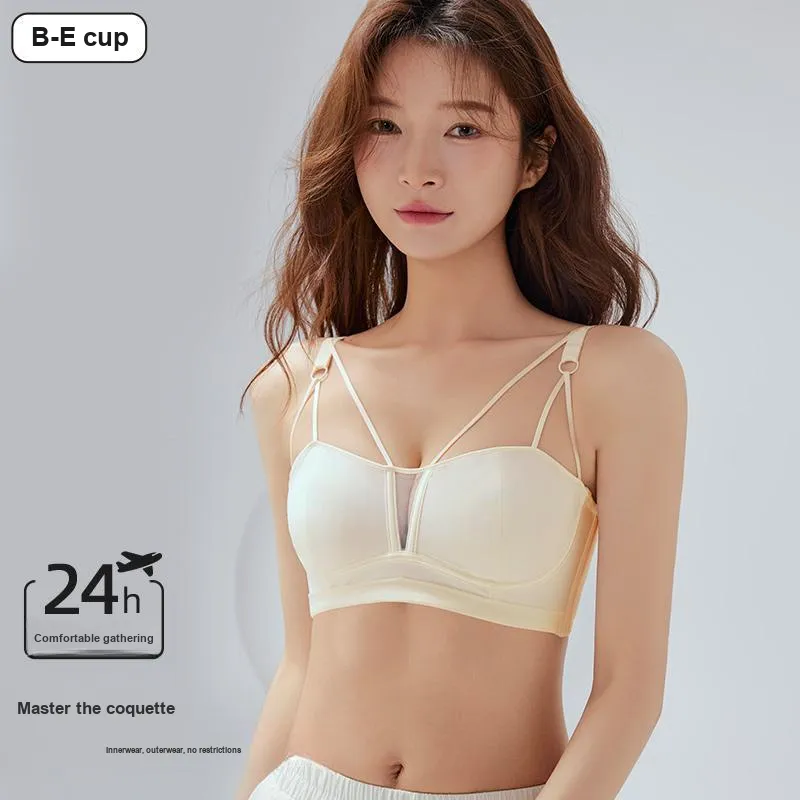 David Women's Bras-1