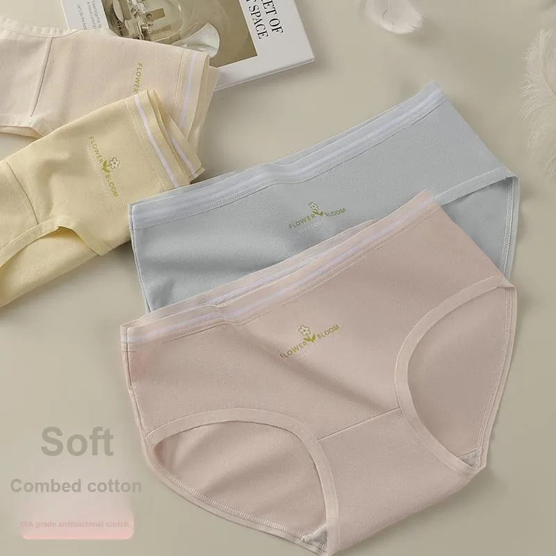 Lan Miao Underpants Women's Combo Set-4
