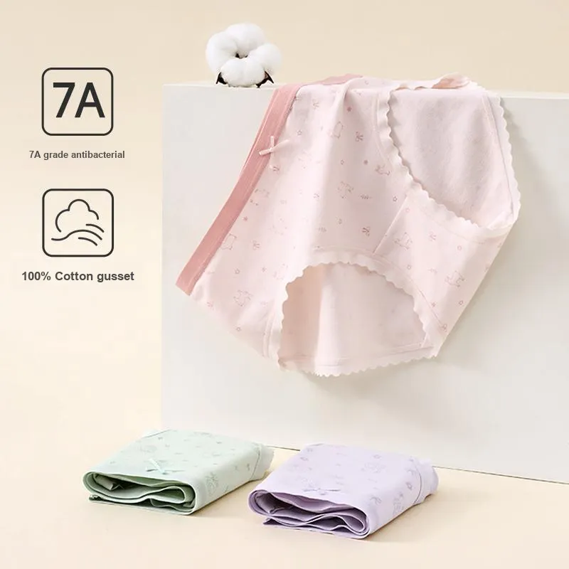 FENTENG Underpants Women's 3 Pack-1