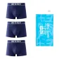 3 Pack (Royal Blue)