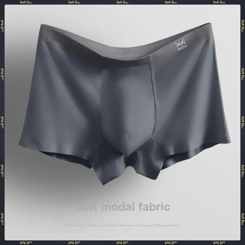 MIIOW Men Underpants-6