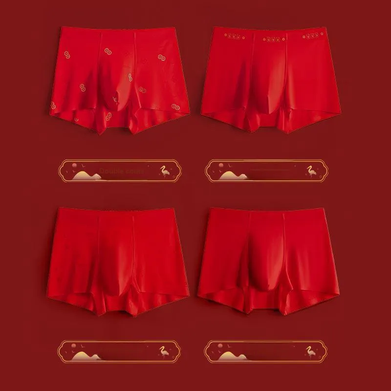 ROBINHOOD Underpants Men's 1 Pack-10