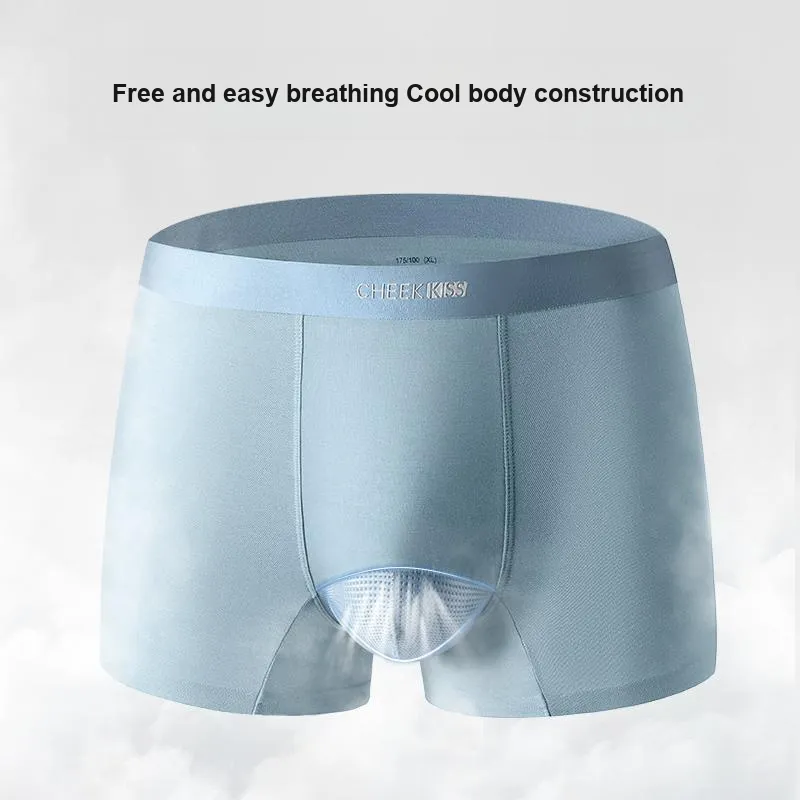 Cheekkiss Underpants Men's Box 3 Pack-6
