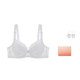 화이트