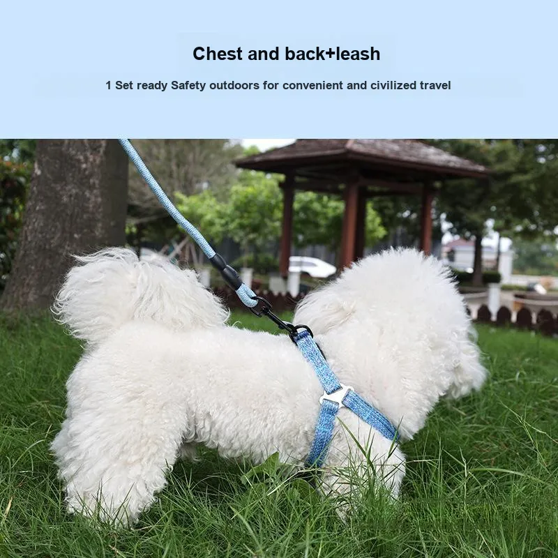HISTOTREE Leashes-3