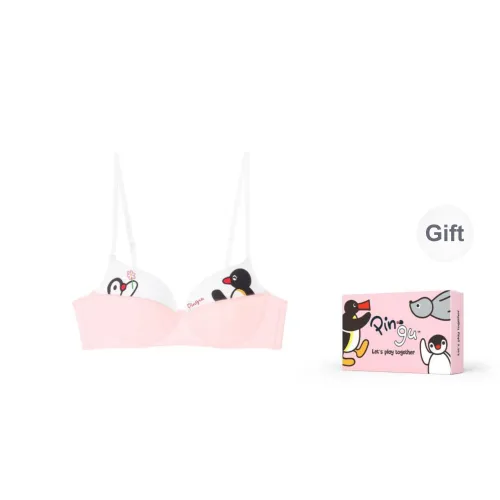 MISS CURIOSITY Women's Bras