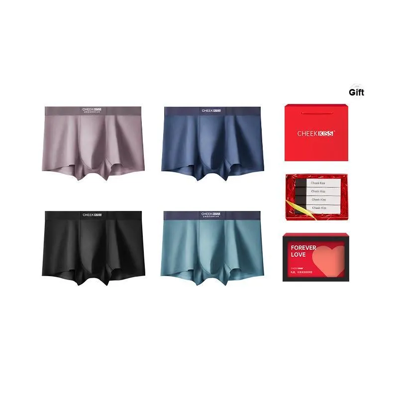 Cheekkiss Underwear Gift Boxes Men's 4 Pack