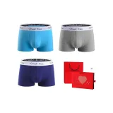 3 Pack First Choice Heartbeat Box[Light Blue+Royal Blue+Gray]