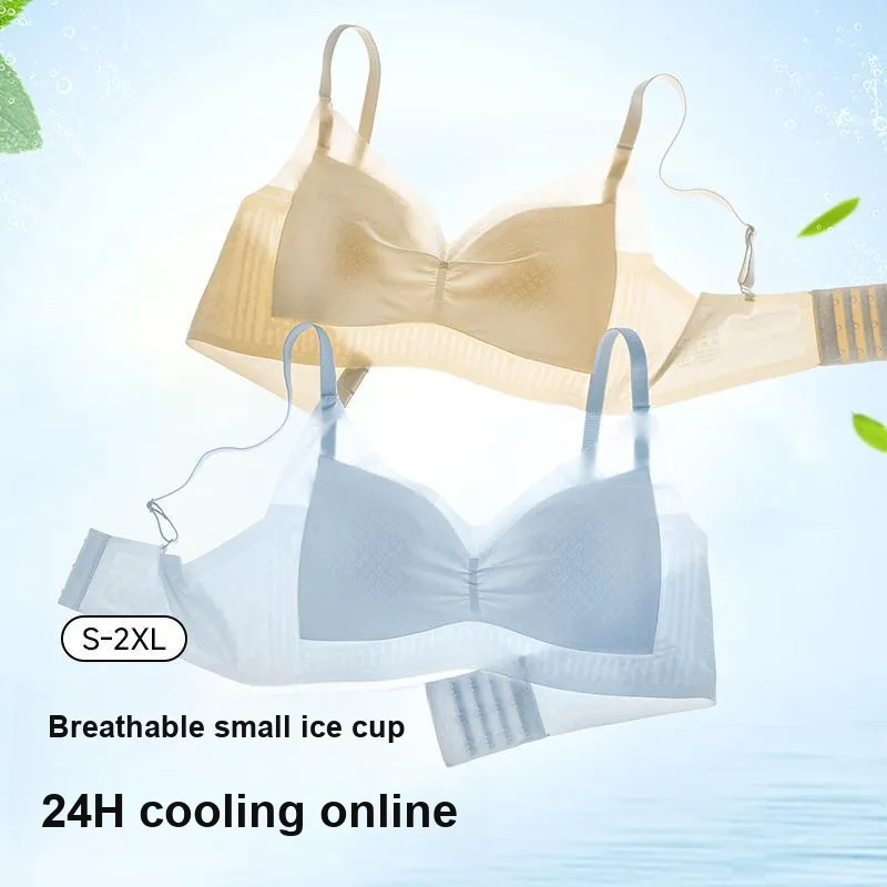 David Women's Bras-18