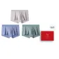 Light Gray-Ice Blue-Gray Green