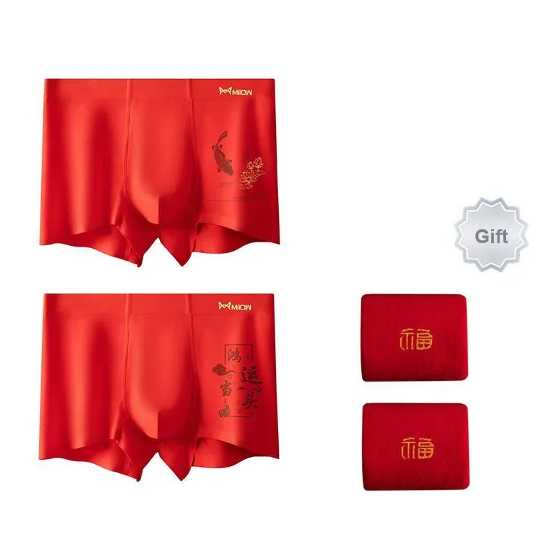 MIIOW Underpants Men's Gift Box Of 2 Strips-8