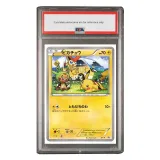 PSA Grading: 10