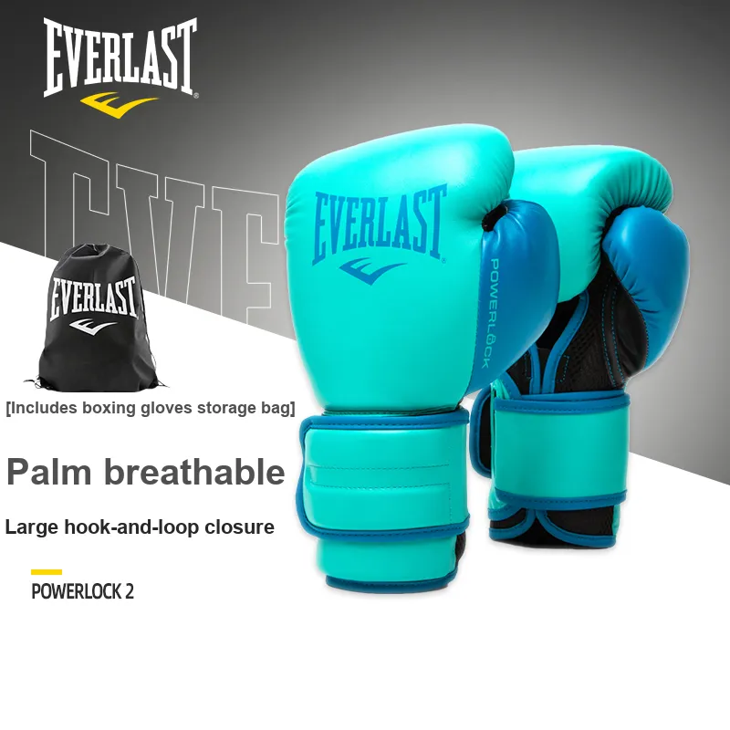 Everlast Boxing Gloves-4
