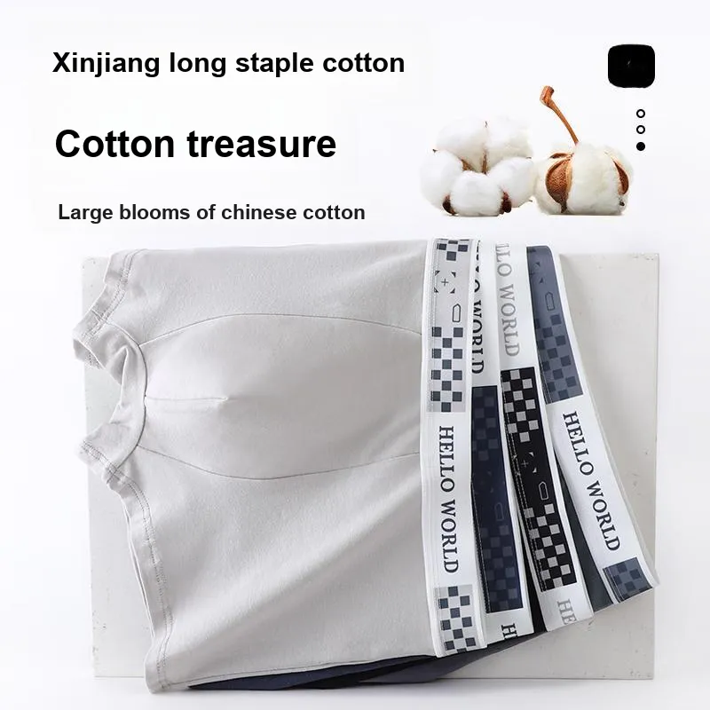 YUZHAOLIN Underpants Men's Combo Set-8