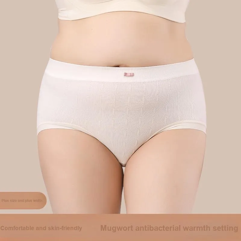 2323 Women's Underpants-2