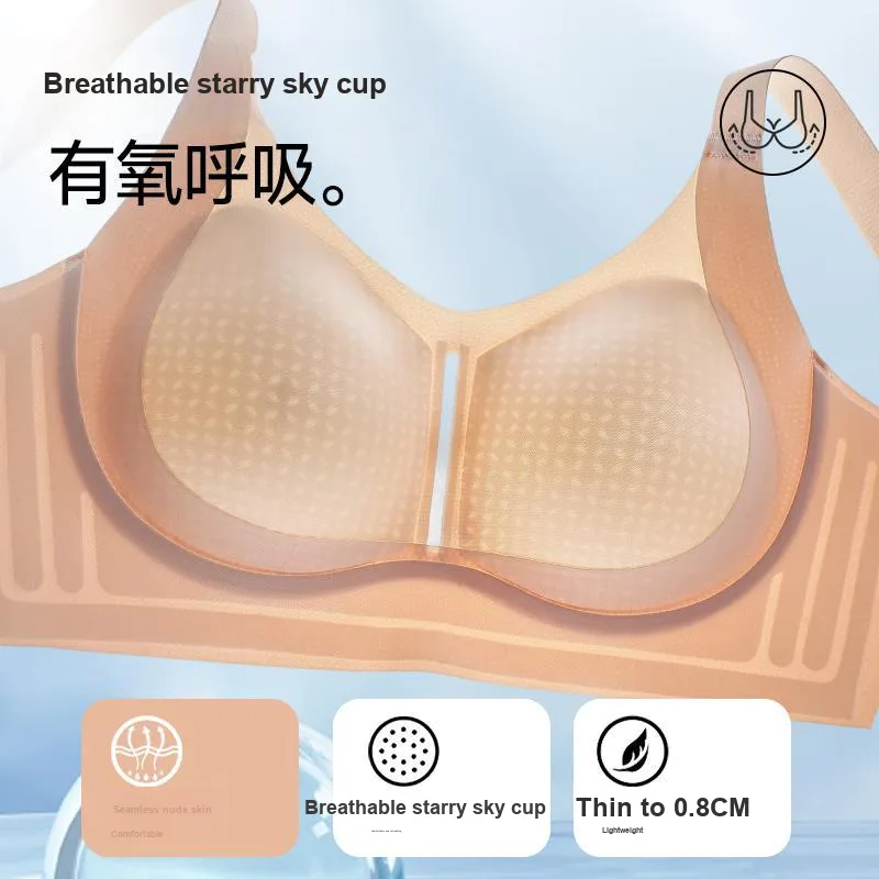 David Women's Bras-3