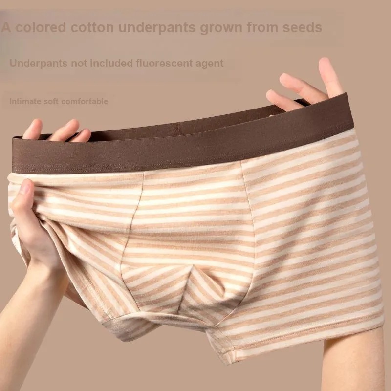 Qiao Ni Tong Underpants Men's Combo Set-3