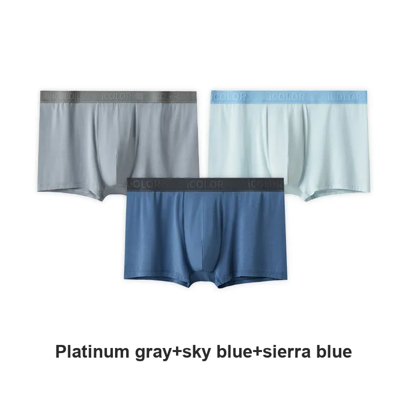 Icolor Men Underpants-9