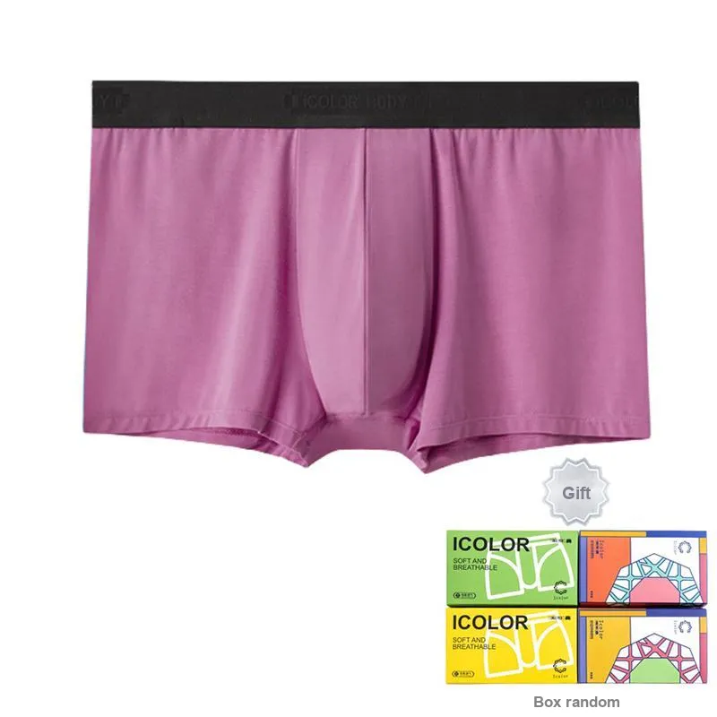 Icolor Men Underpants-3