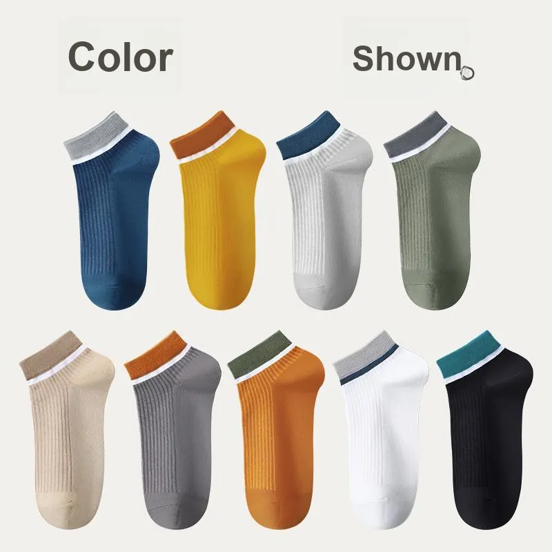 Lanza Men Socks-6
