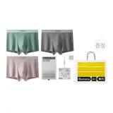 체스트넛 브라운 그레이+퍼플+리플 그린