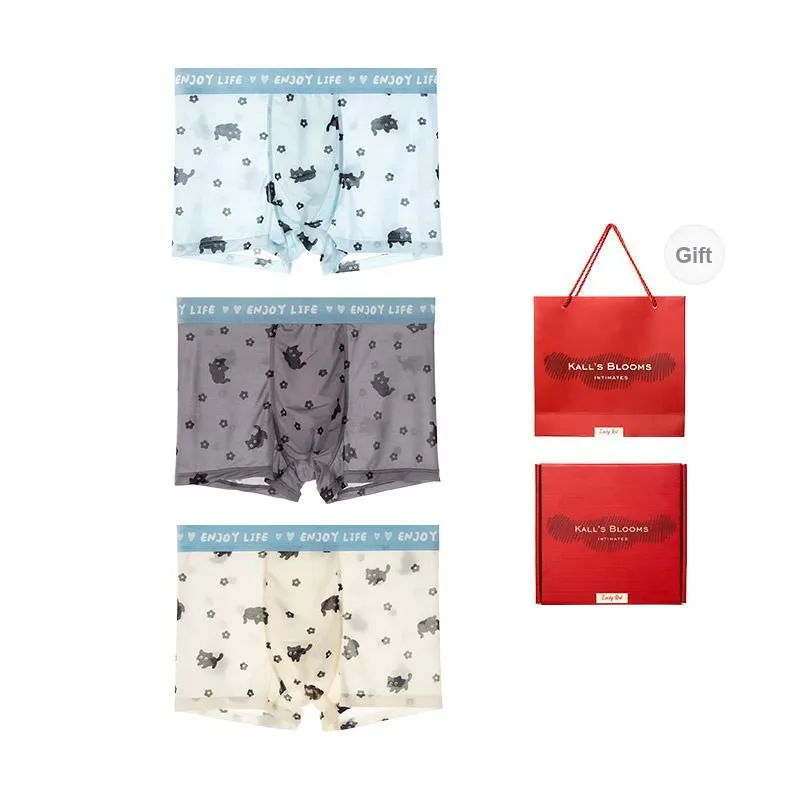 Maiden House Underwear Gift Box Men's Box 3 Pack-6