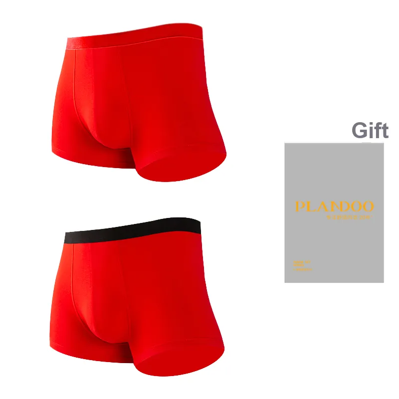 PLANDOO Underpants Men's Gift Box Of 2 Strips-2