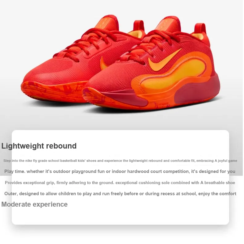 Nike ISOFLY Basketball Shoes GS-1