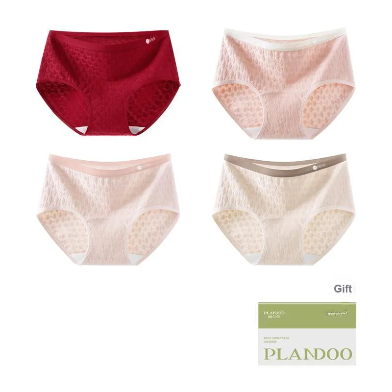 PLANDOO Underpants Women's Shopping Bag 4 Pack-9