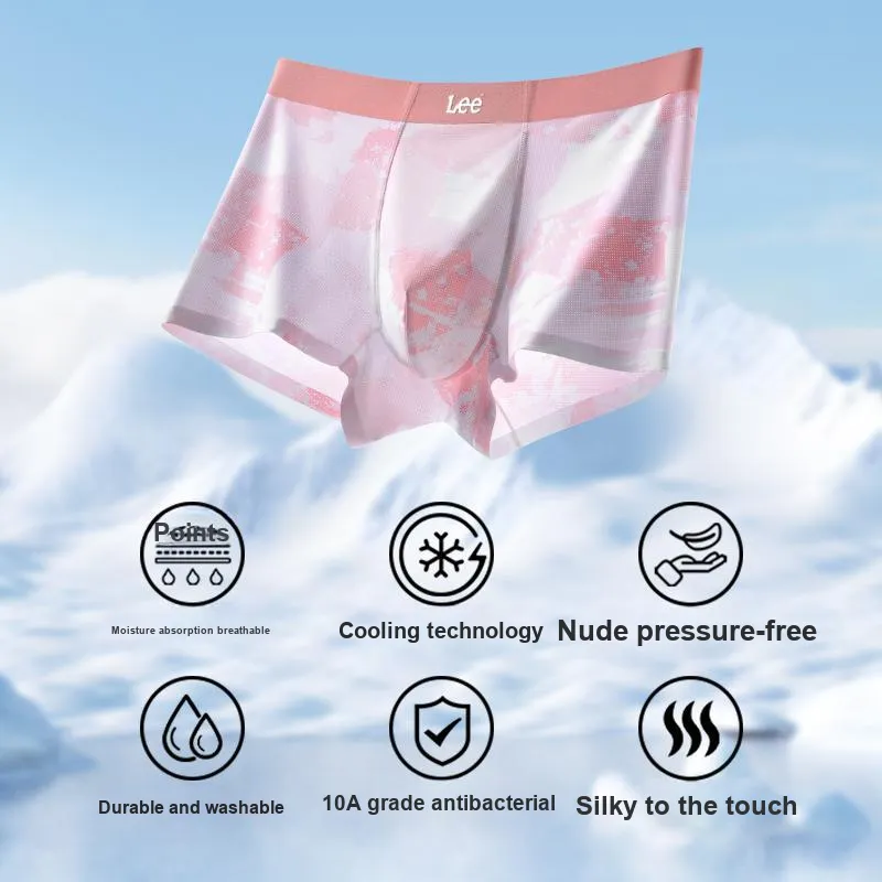Lee Men Underpants-3