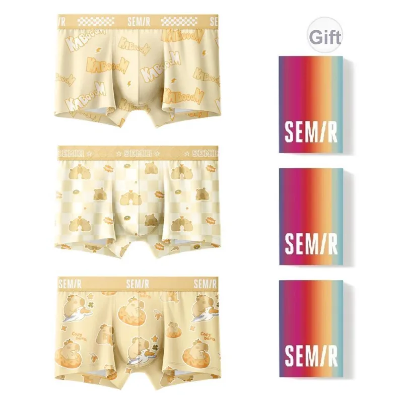 SEM/R Underpants Men's 3 Pack Gift Box Set-0